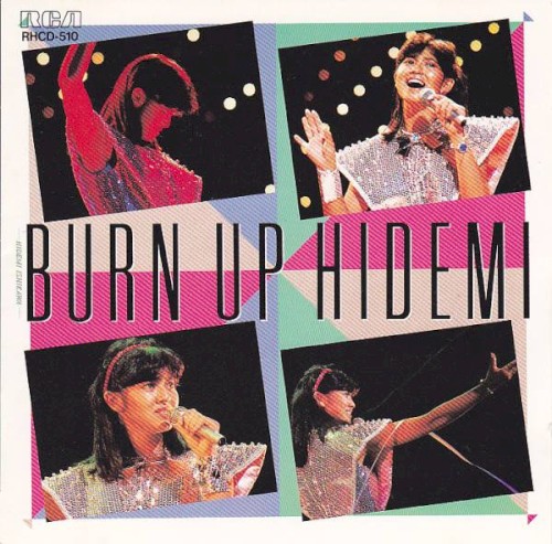 BURN UP HIDEMI 〜秀美の熱い一日〜