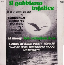 Il Gabbiano Infelice - Here Is The Moog