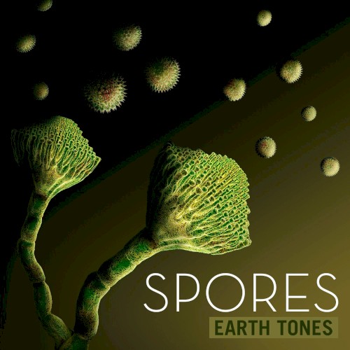 Spores