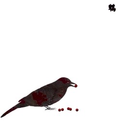 Hiyodori: 13 Japanese Birds, Pt. 9