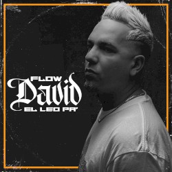 Flow David