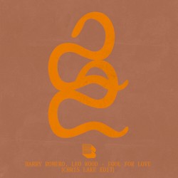 Fool For Love (Chris Lake edit)