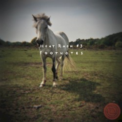 Heat Rash #3: Footnotes