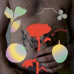 My Frail Body