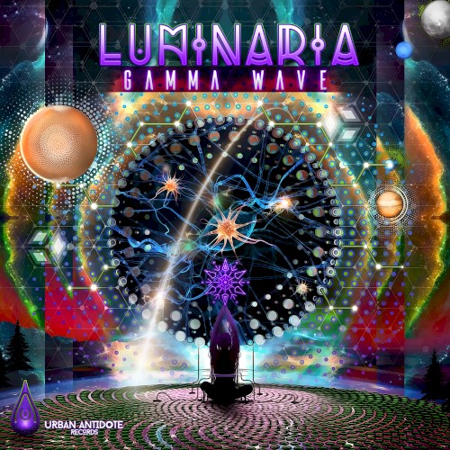 Gamma Wave