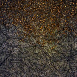 Unbound