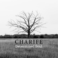 Determined Soul