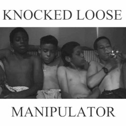 Manipulator