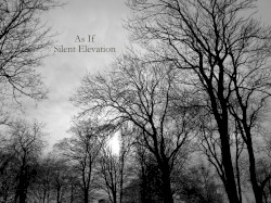 Silent Elevation