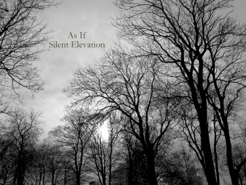 Silent Elevation
