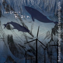 Between Whales And Feverish Lights