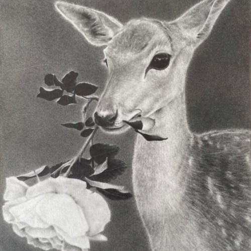 meaningful love (instrumental)
