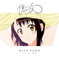 Nisefunk