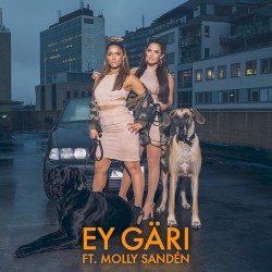 Ey Gäri