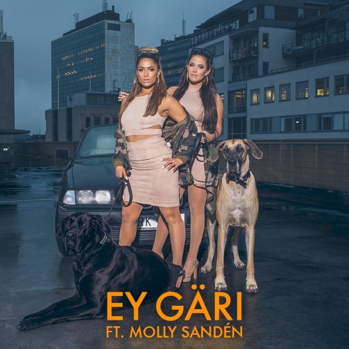 Ey Gäri