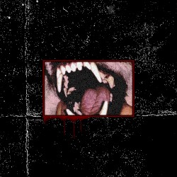Teeth 1