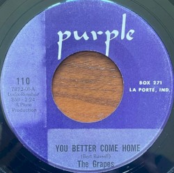 You Better Come Home / When The 4 Winds Blow