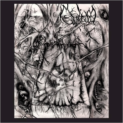 Mycelium Shroud