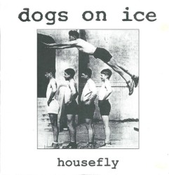 Housefly