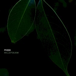 Millefolium