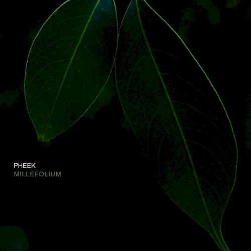 Millefolium