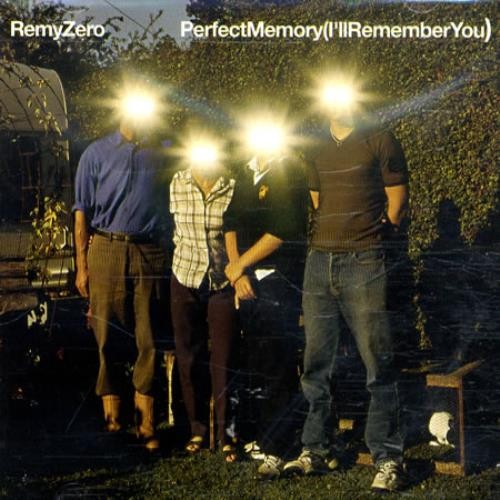 Perfect Memory (I'll Remember You)