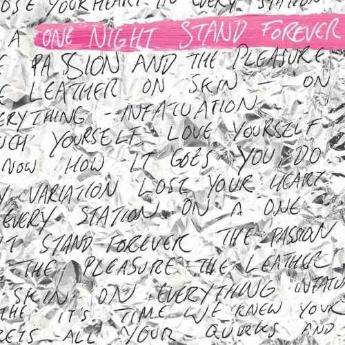 One Night Stand Forever