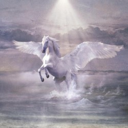 Sulle ali del cavallo bianco