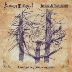 Cantiga de Folhas e Agulhas (live session)