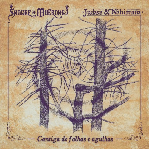 Cantiga de Folhas e Agulhas (live session)