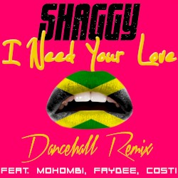 I Need Your Love (dancehall remix)
