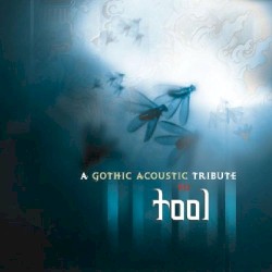 A Gothic Acoustic Tribute to Tool