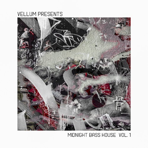 Midnight Bass House Vol. 1 (Sample & Serum Pack)
