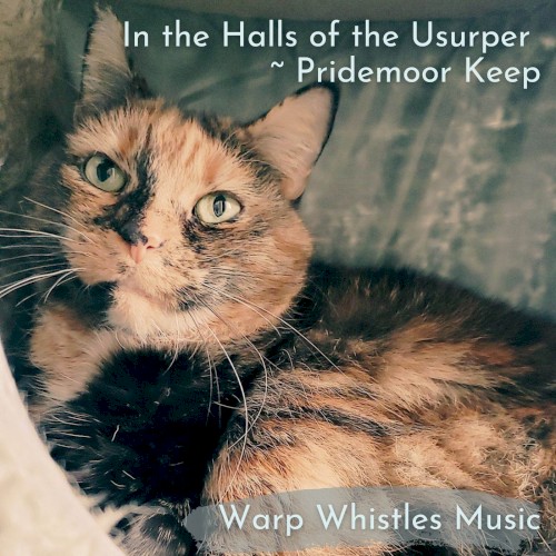In the Halls of the Usurper ~ Pridemoor Keep (from “Shovel Knight”) [woodwind arrangement]