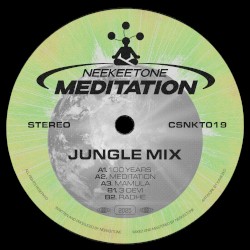 Meditation (jungle mixes)