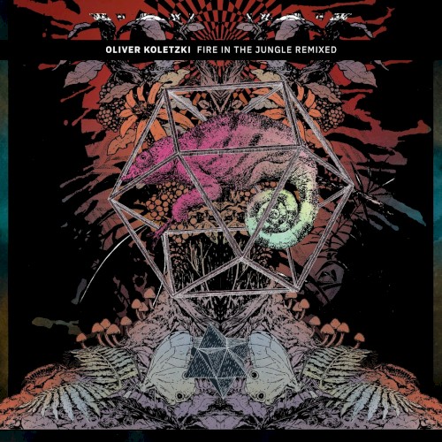 Fire In The Jungle Remixed