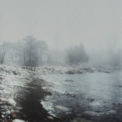 Einzeln