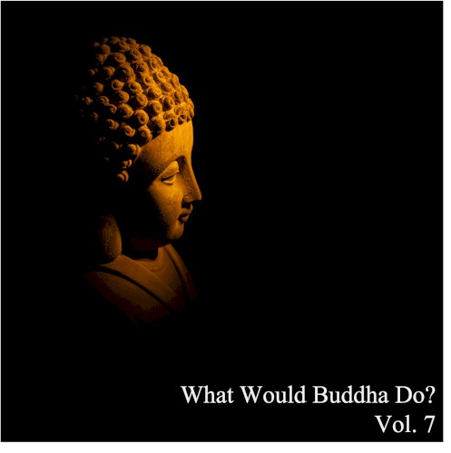 What Would Buddha Do?, Vol. 7