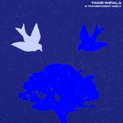A Transparent Night