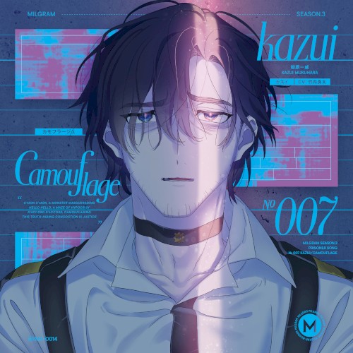 カモフラージュ
