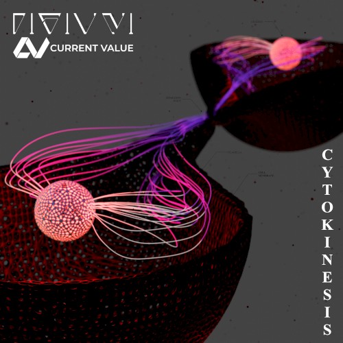 Cytokinesis