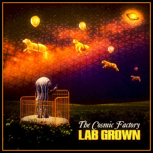 Lab Grown