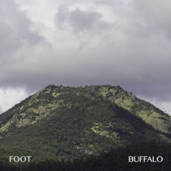 Buffalo