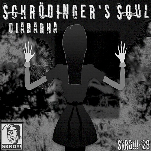 Schrödinger's Soul