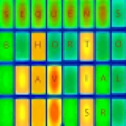 Sequential Behavour