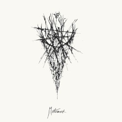 Metamorph