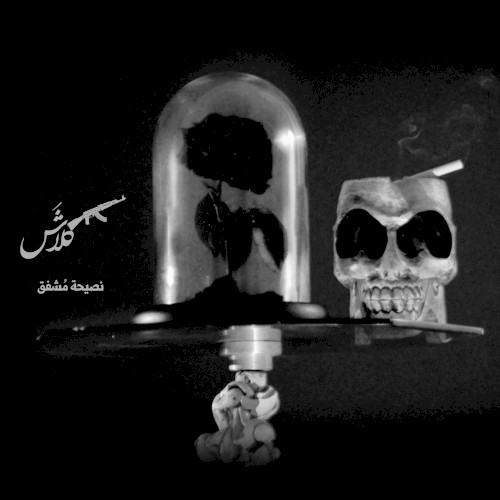 نصيحة مشفق
