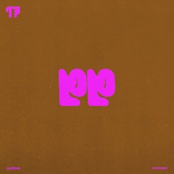 PP-17: Stoppages Vol. 3
