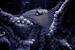 Organism 46-B