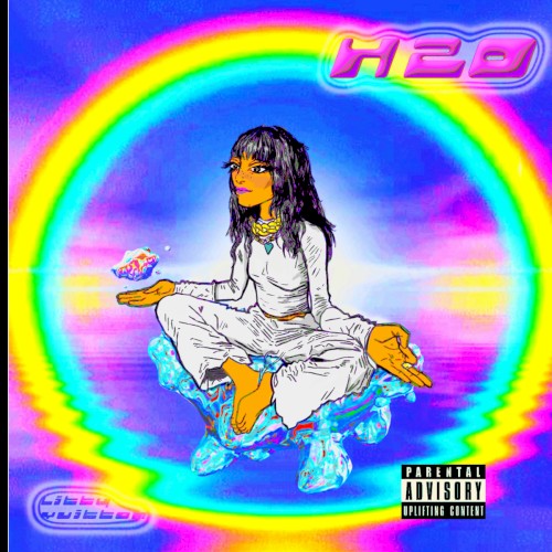 H2O